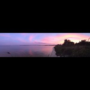 Meet your Posher, Ann